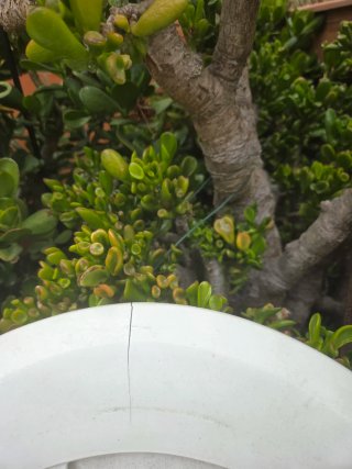 3 Sillas de jardín apilables de plástico blanco