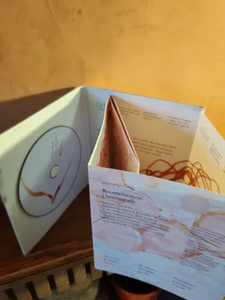 Vincles Audioguia Gestació i Part