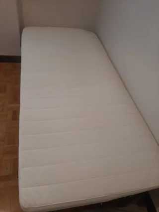 Materasso e rete a doghe singoli (x2)