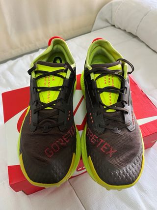 Nike Pegasus Trail Gore-Tex Marrón/Verde