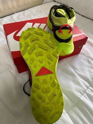 Nike Pegasus Trail Gore-Tex Marrón/Verde