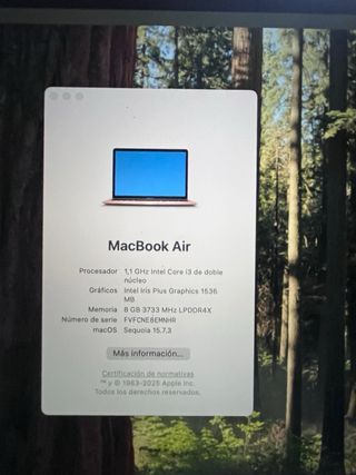 MacBook Air 2020 Dorado