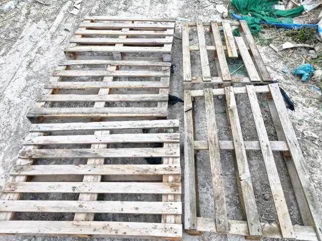 Palets Europeos y Americanos