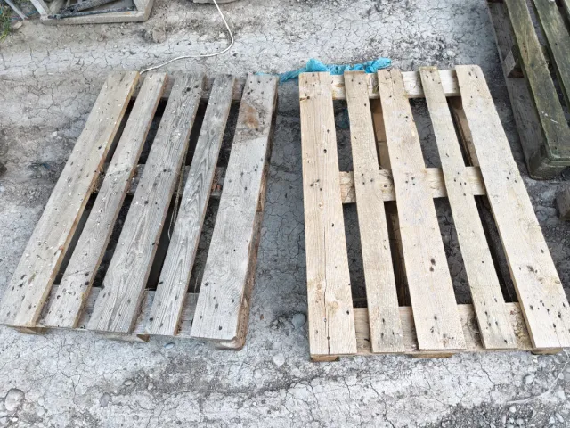 Palets Europeos y Americanos