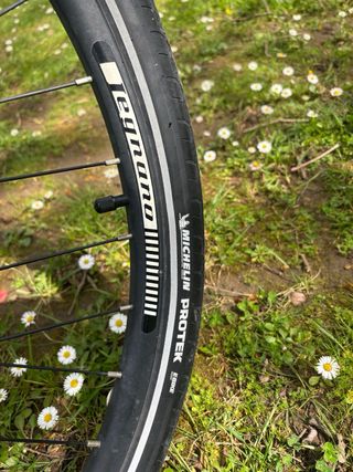 Bicicleta Eléctrica