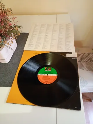 Vinilo Debbie Gibson - Anything Is Possible