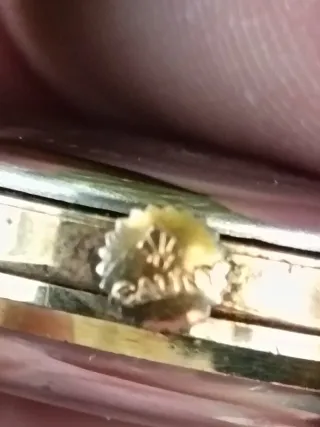 Reloj Cauny Cadet 17 Jewels Dorado