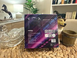 Tangzu Xue Tao IEM Gaming Auriculares