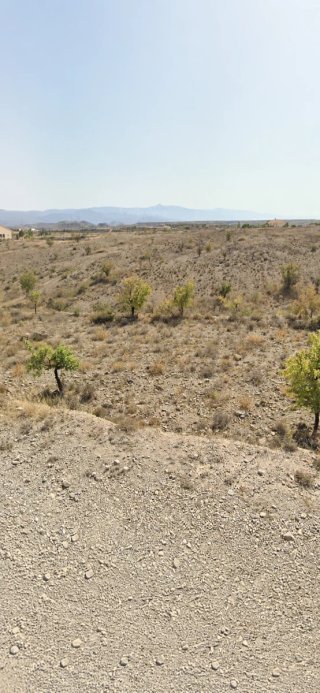 Terreno en las labores