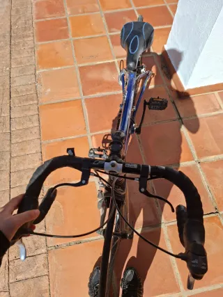 Bicicleta de carrera azul modelo Felt F24