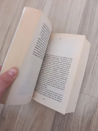 Las Cenizas De Angela / Angelas Ashes (Punto De...