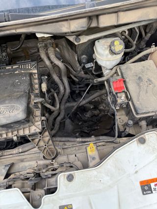 Despiece Ford Transit 2.0 TDCI  Año 2016