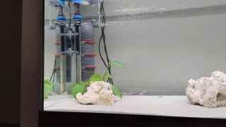 Acuario Eheim Vivaline LED 180l + Mueble