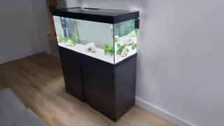 Acuario Eheim Vivaline LED 180l + Mueble