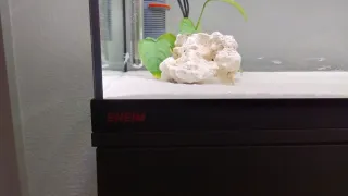 Acuario Eheim Vivaline LED 180l + Mueble