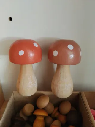 Set de setas y pétalos de madera