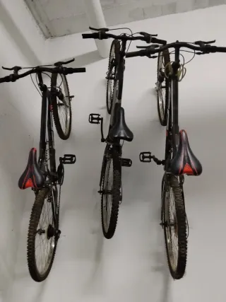 3 Bicicletas Montaña