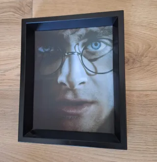 Cuadro Harry Potter/Voldemort