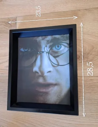 Cuadro Harry Potter/Voldemort