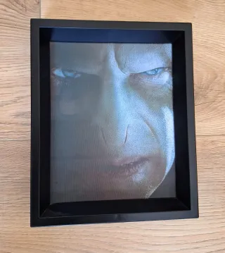 Cuadro Harry Potter/Voldemort