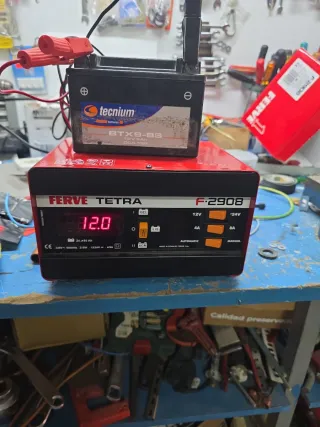 Cargador Batería Coche FERVE F-2908