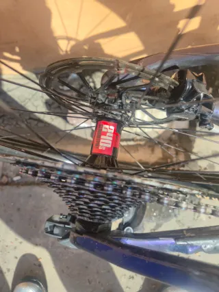 Orbea Oiz M-LTD 2025 Talla M