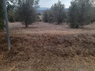 Desbrozado de fincas, terrenos, solares