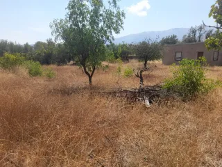 Desbrozado de fincas, terrenos, solares