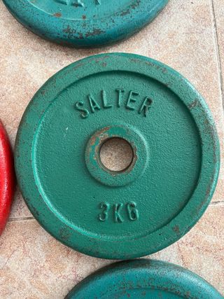 Discos de Pesas Salter (Varios Tamaños)