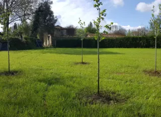 Finca en Santa Maria de Melide