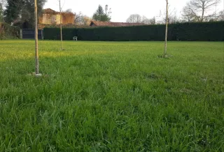Finca en Santa Maria de Melide