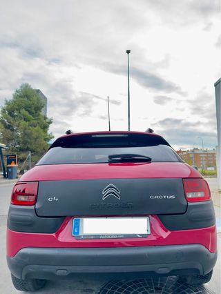 CITROEN C4 Cactus BlueHDi 100 Shine Edition