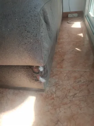 Sofá Chaiselongue Marrón/Gris