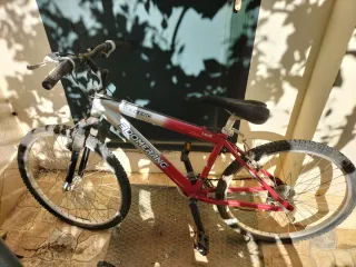 Bicicleta Boomerang Weekend