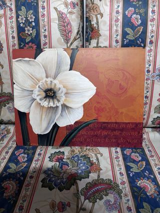 Pareja de cuadros de flores blancas