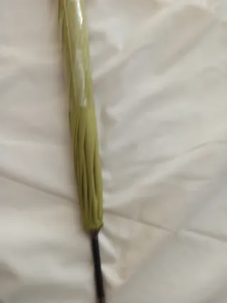 Paraguas de viaje verde