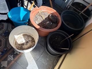 Macetas varias de plástico grandes y cubo azul