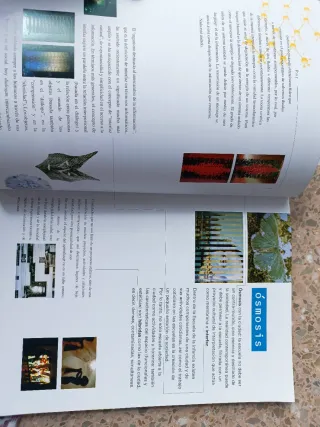 Niños, espacios, relaciones metaproyecto de amb...