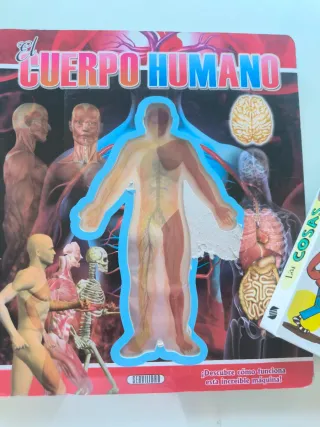 Libros educativos del cuerpo humano para niños