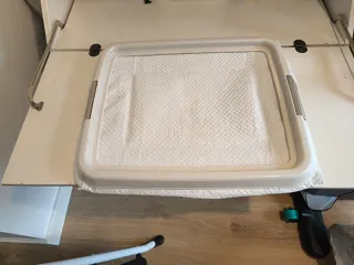 Placa para enseñar a hacer pis a perros y gatos