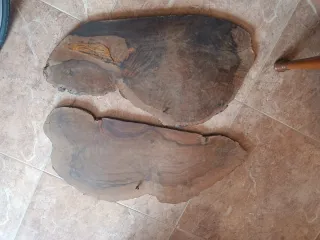 Cuadros Madera Olivo Pintados Para colgar pared