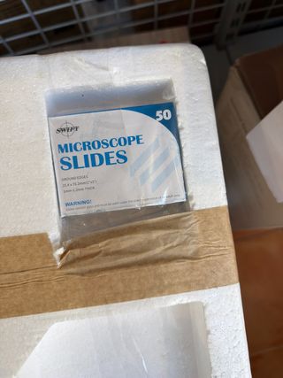 Microscopio óptico