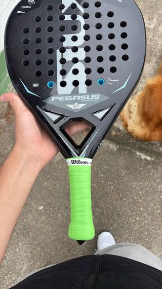 Pala Padel Wilson Pegasus Limited Edition
