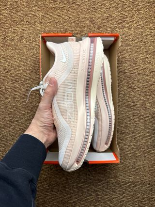 Nike Pegasus Premium Taglia 42