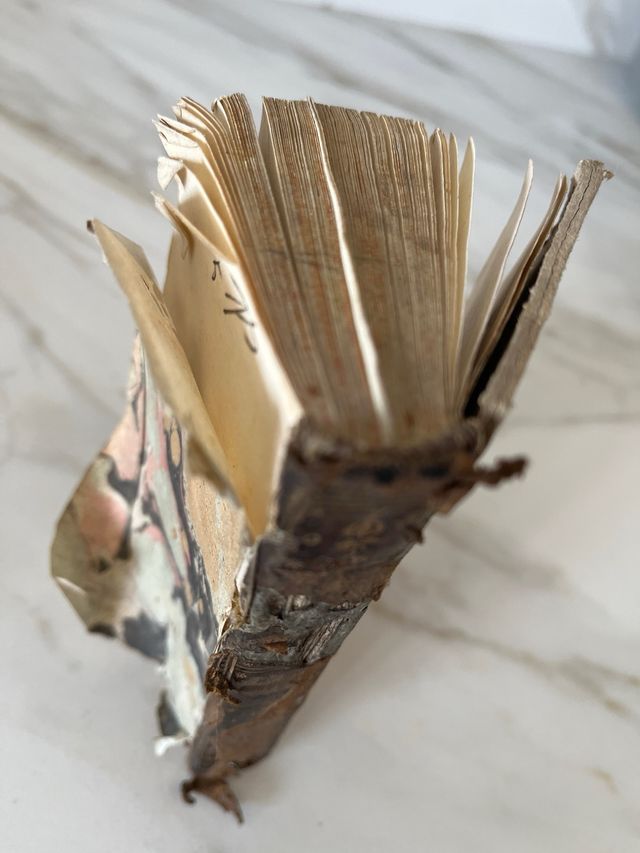 1799 El Feliz arte de vivir contento. Tomo I