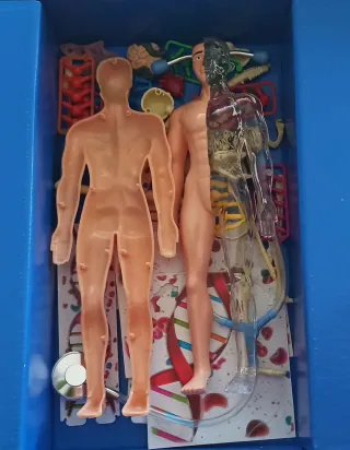 Ciencia y Juego: El Cuerpo Humano Clementoni