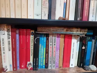 Libros muy buen uso todas las temáticas