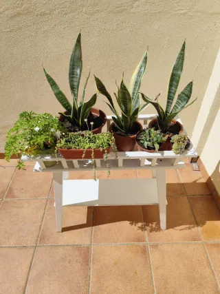 Carrito para plantas Lantliv Ikea