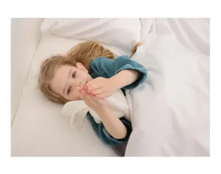 Funda Nórdica Blanca 260x240cm Cama 180