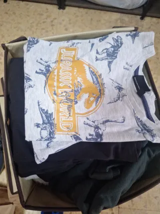 Lote Ropa Niño 5-7 Años (+20 Piezas)